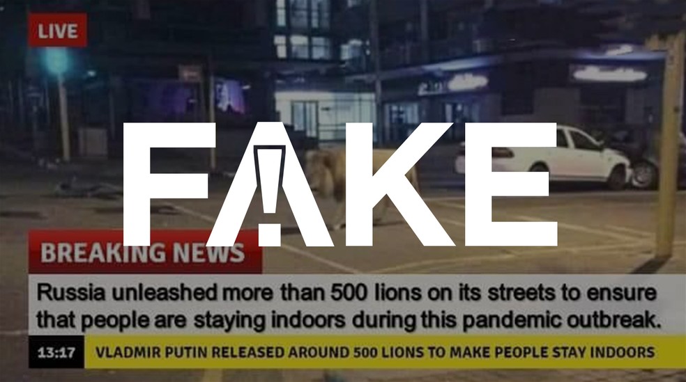 É #FAKE que governo russo soltou leões na rua pra amedrontar e evitar que pessoas saiam — Foto: Reprodução
