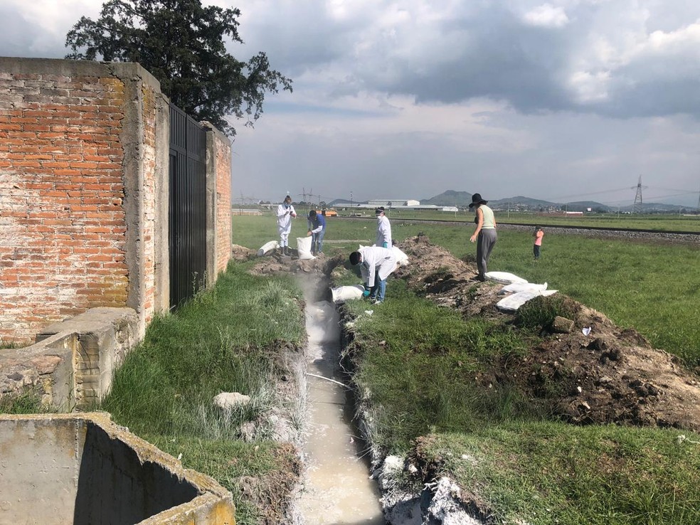 No México, casca de ovo vira matéria-prima para despoluir rio — Foto: H2O Lerma Jalisco / Facebook / Reprodução