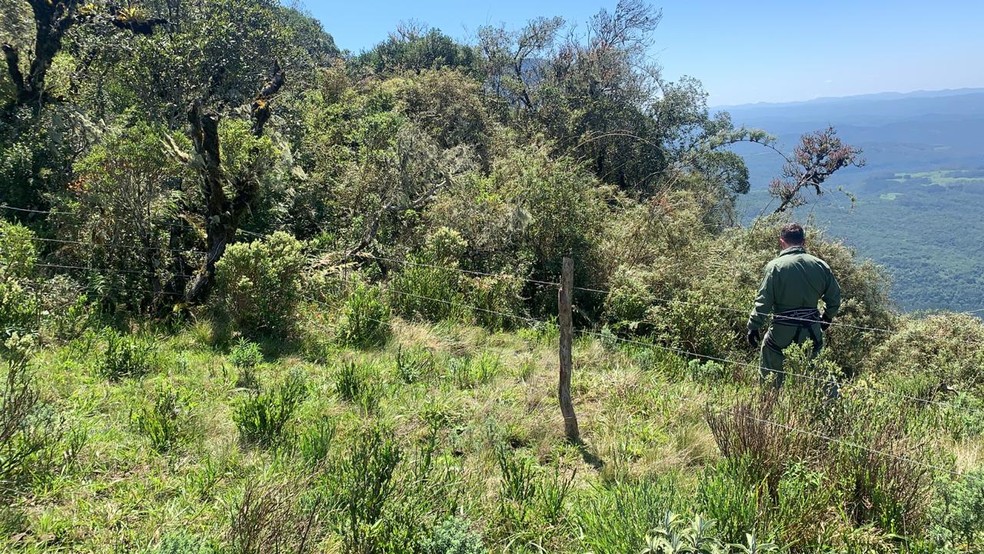 Alpinistas estavam em uma área de difícil acesso — Foto: Polícia Militar/Divulgação