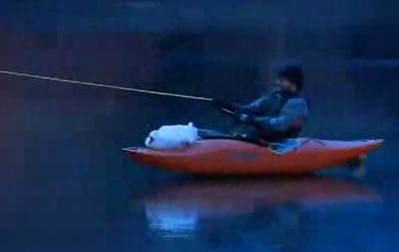 Homem se arrisca para resgatar ganso em lago congelado dos EUA (Foto: Reprodução/YouTube)