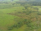 Ibama implanta base em Apuí, no AM, para reduzir desmatamento