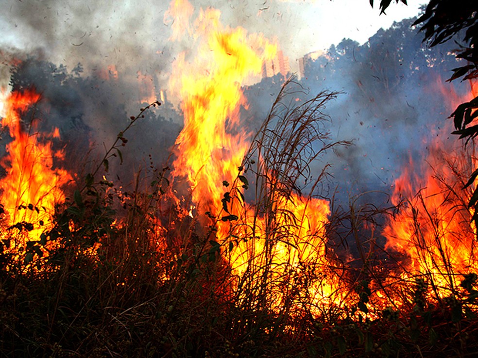 Ainda de acordo com o Inpe, só este ano o estado já registrou 6.793 focos de incêndio; Assim, houve um crescimento de 29% em relação ao mesmo período de 2020.  — Foto: Douglas Júnior / O Estado