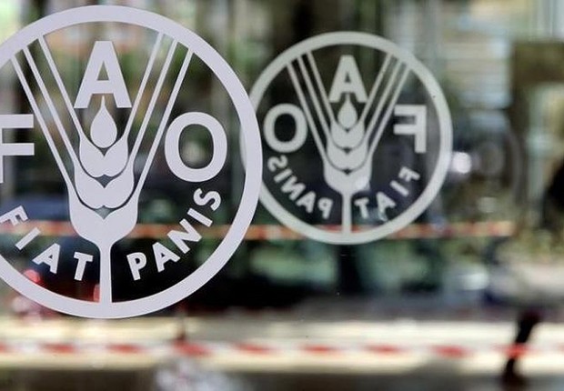 Logotipo do Food and Agriculture Organisation (FAO) em sua sede em Roma (Foto: Alessandro Bianchi/Reuters)
