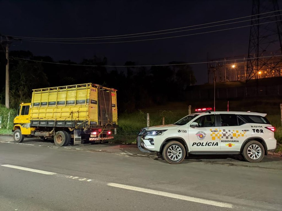 Dois homens foram presos pelo furto de gado — Foto: Polícia Rodoviária/Divulgação