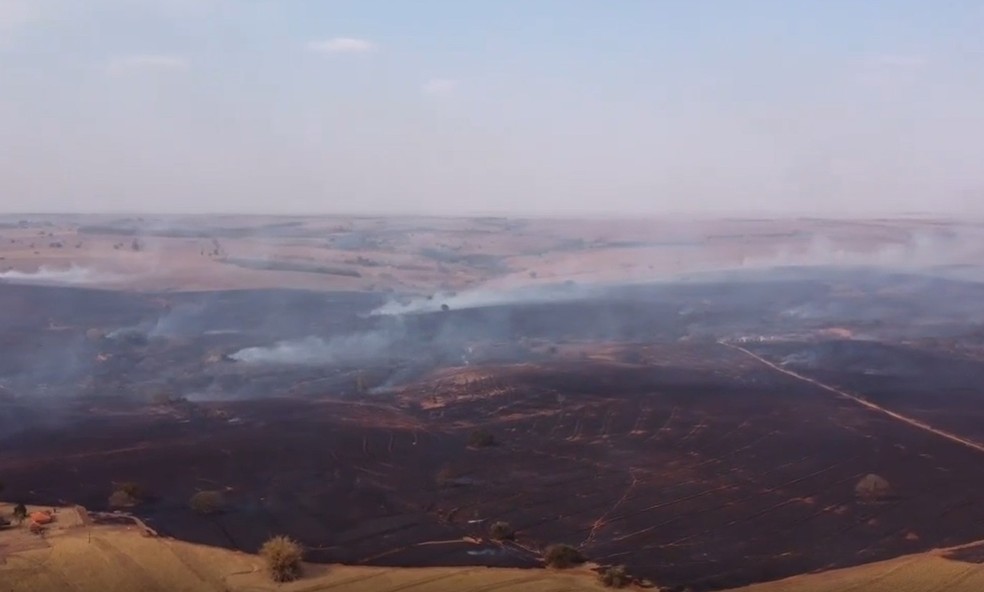 Incêndio em vegetação mobiliza Corpo de Bombeiros em Presidente Venceslau — Foto: Reprodução/Henrique Rinho 