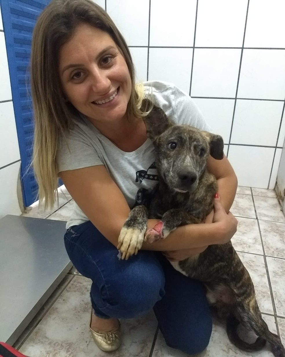 A veterinária Ana Maria salvou o cão mãozinha de se afogar, em Matão, SP (Foto: Arquivo pessoal)