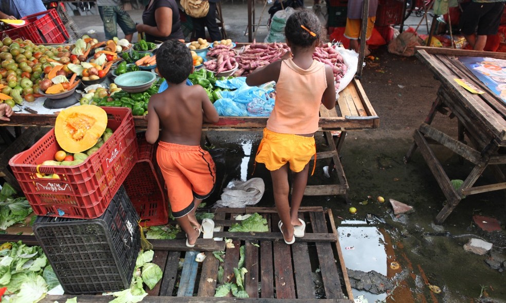 Fiscalizações em 30 cidades do Ceará flagraram crianças em trabalho infantil  — Foto: TV Verdes Mares/Reprodução
