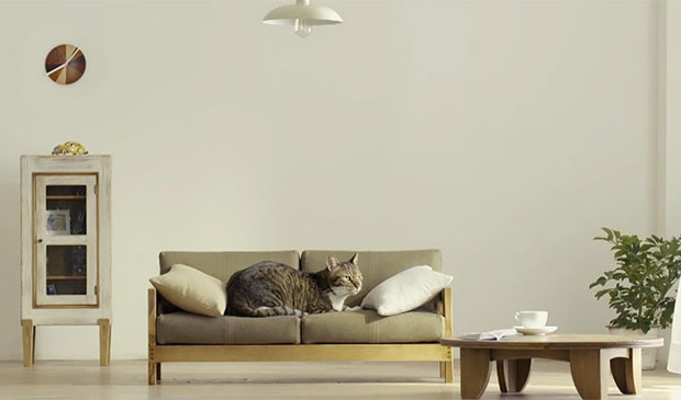 móveis para gatos (Foto: Divulgação)