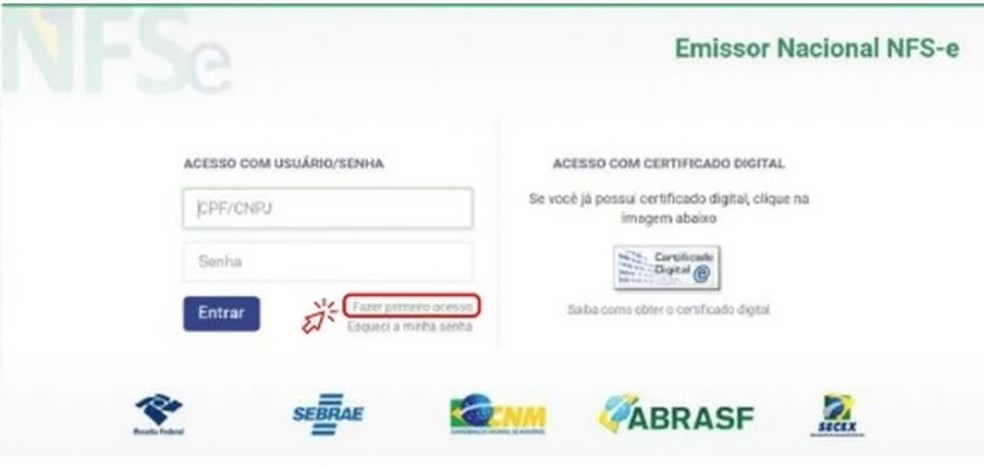 O primeiro acesso para emitir NFS-e é feito por meio do CPF — Foto: Reprodução