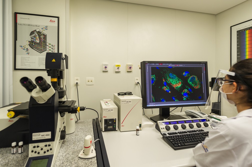 Laboratório brasileiro faz pesquisas usando células neurais humanas e a ação de psicodélicos nelas. — Foto: Stevens Rehen/Arquivo Pessoal