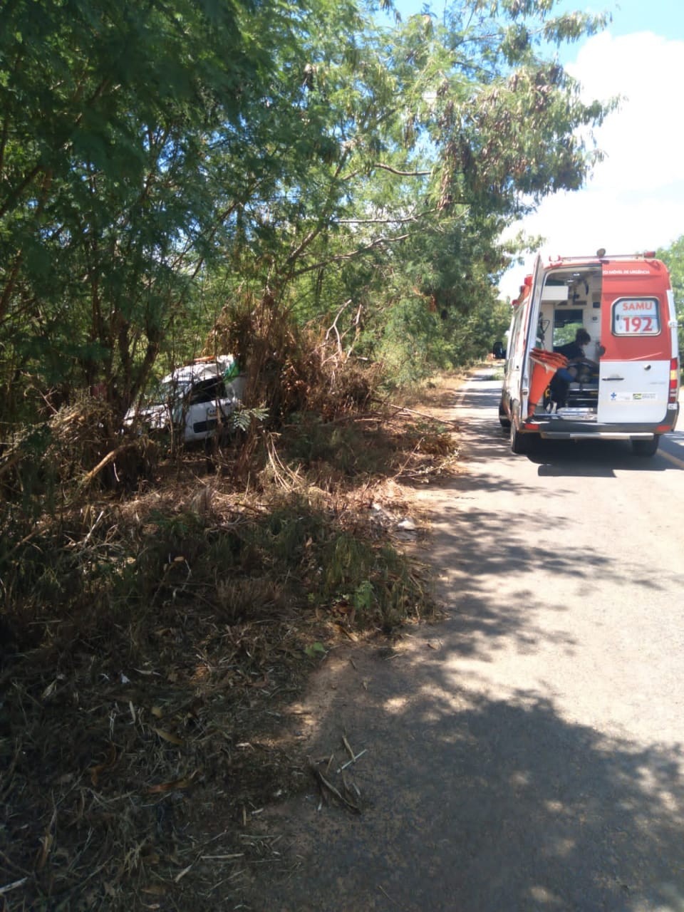 Motorista fica ferido após bater carro funerário em árvore na MGC-122, em Janaúba