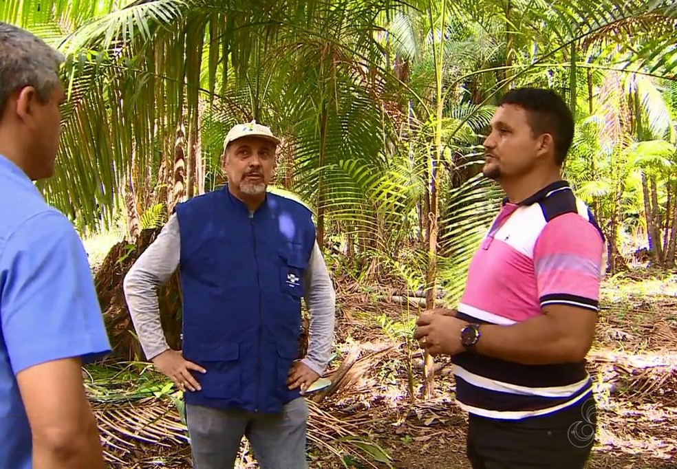 Trabalho na comunidade é acompanhado pela Embrapa do Amapá — Foto: Reprodução/Rede Amazônica