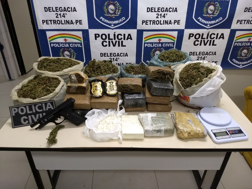Droga foi encontrada no bairro Vila Eulália  (Foto: Polícia Civil / Divulgação )