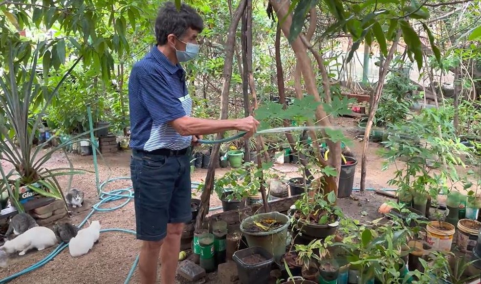 Antônio Francisco da Silva também atua hoje em projeto de mudas de plantas frutíferas, em Várzea Alegre, no Ceará. — Foto: Rodrigo Teles