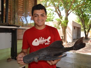 Acari-da-pedra: características, reprodução e alimentação