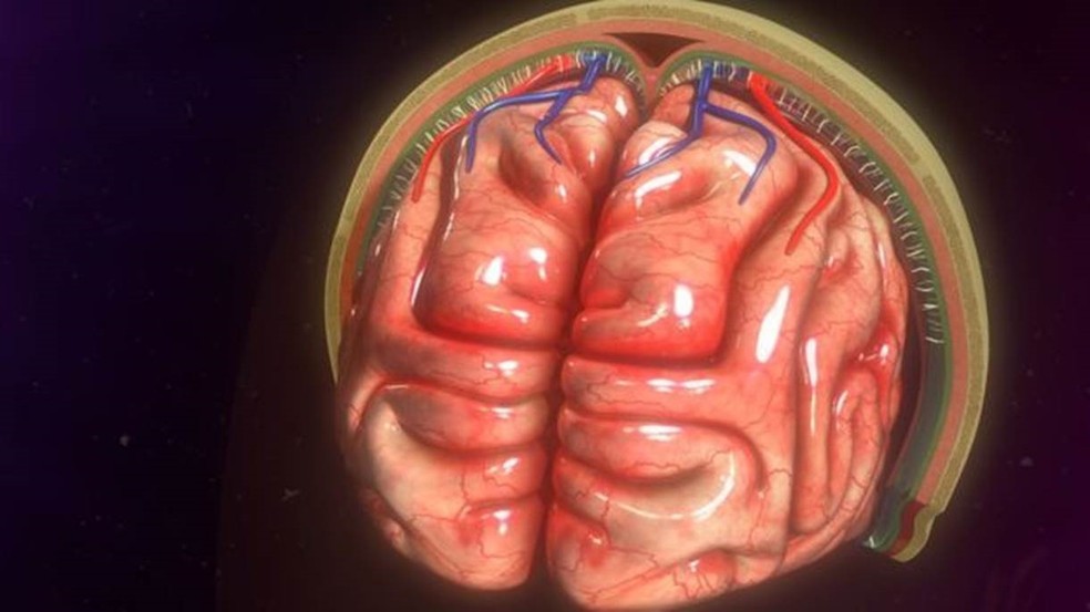 Os cientistas 'se depararam' com novos vasos no cérebro — Foto: Getty Images/BBC