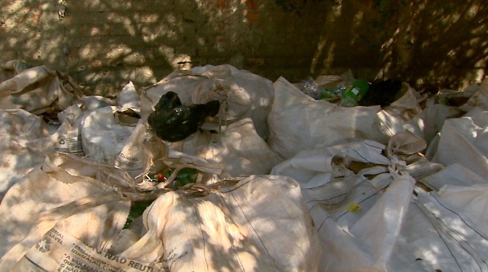 Projeto recolhe mais de uma tonelada de material reciclável por mês em Santa Cruz da Esperança (SP) (Foto: Maurício Glauco/EPTV)