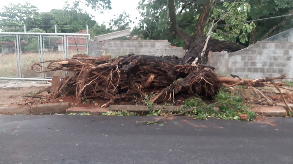 Tempestade provocou estragos na rede elétrica, em Presidente Prudente (SP), nesta sexta-feira (1º) — Foto: Edson Santana