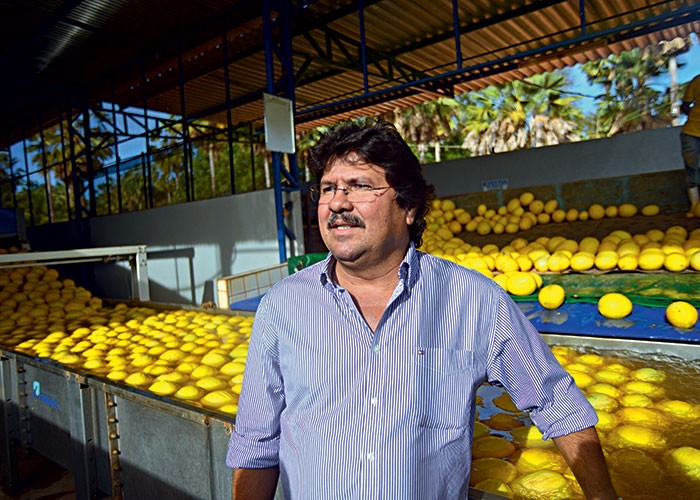 agricultura_frutas_sertao (Foto: Ernesto de Souza/Ed. Globo)