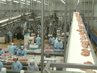 Paraná lidera exportações de frango no país e amplia geração de emprego