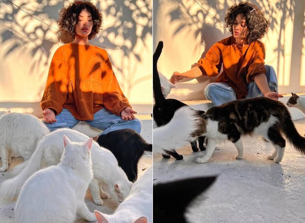 Aline Campos fez um gatil para criar melhor os gatos que é tutora (Foto: Instagram/@soualinecampos/Reprodução)