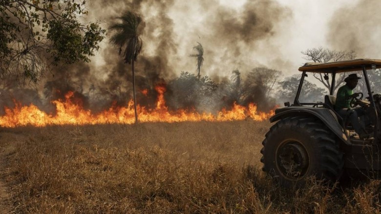 Fogo causa prejuízos a fazendas no Mato Groso (Foto: Acrimat/Divulgação)