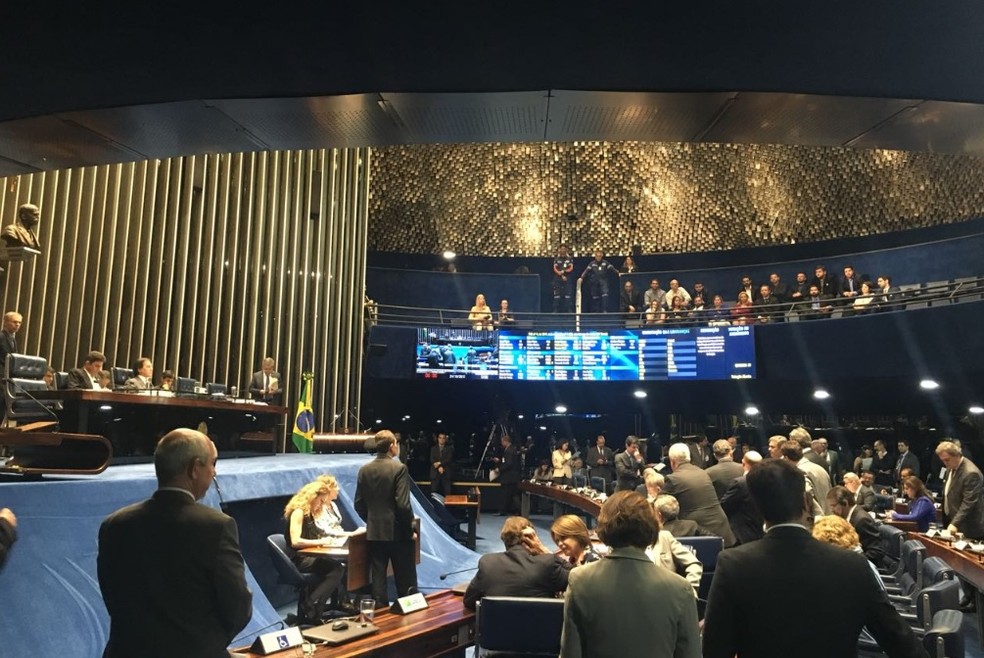 Senadores reunidos no plenário durante a sessão desta terça (Foto: Alessandra Modzeleski/G1)