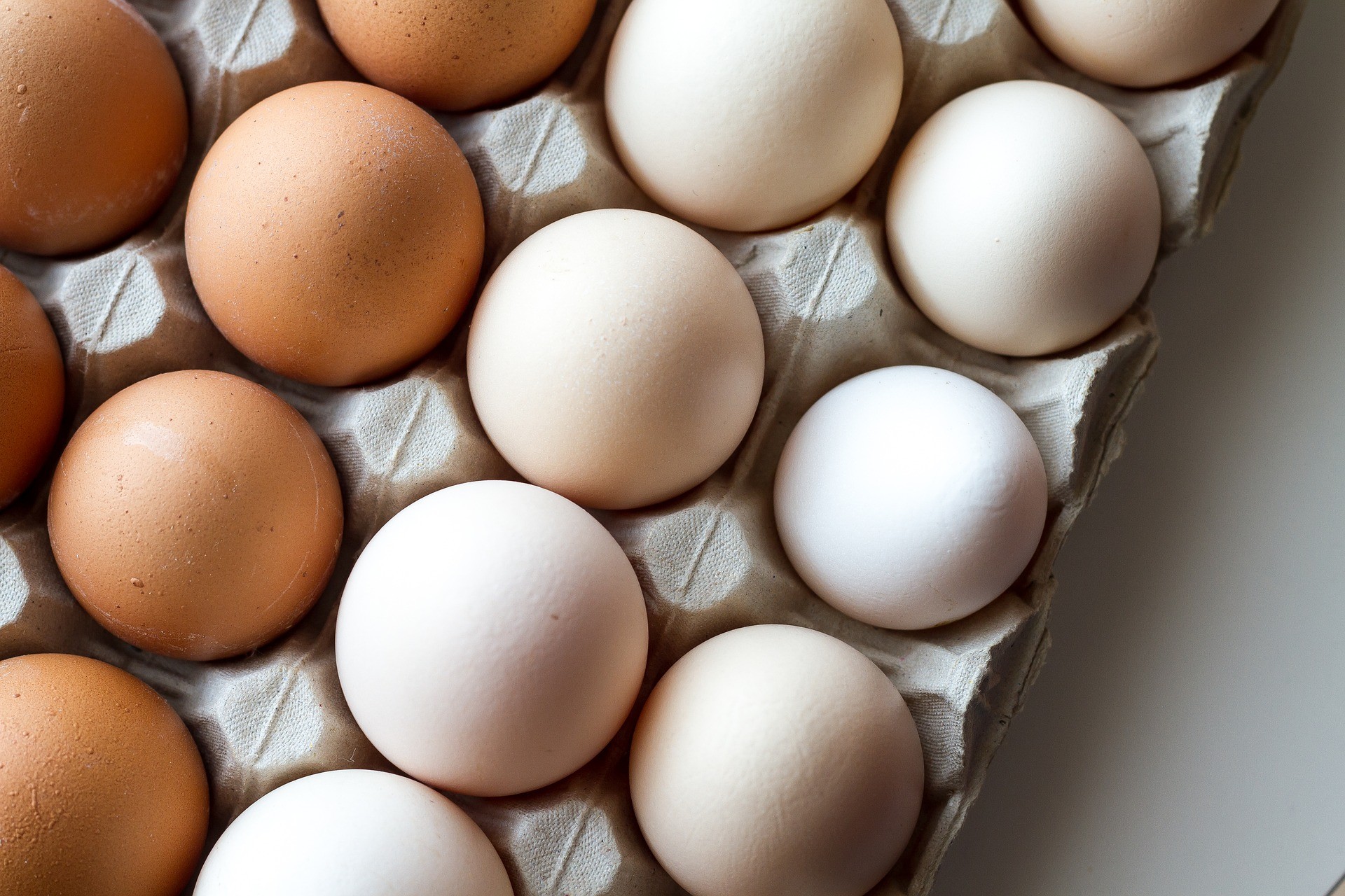 Estudo explica por que cascas de ovos têm cores diferentes (Foto: Moira Nazzari/Pixabay)
