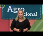 Katy Navarro apresentava o 'Agro nacional' | Reprodução