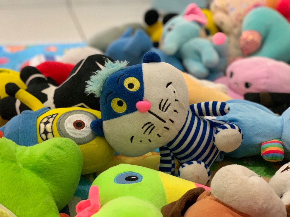 Pelúcia do Gato de Cheshire, personagem de Alice no País das Maravilhas. — Foto: Yara Ramalho/g1 RR