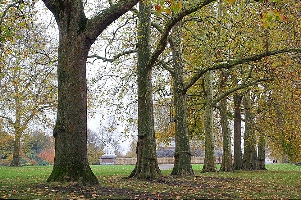 Hyde Park