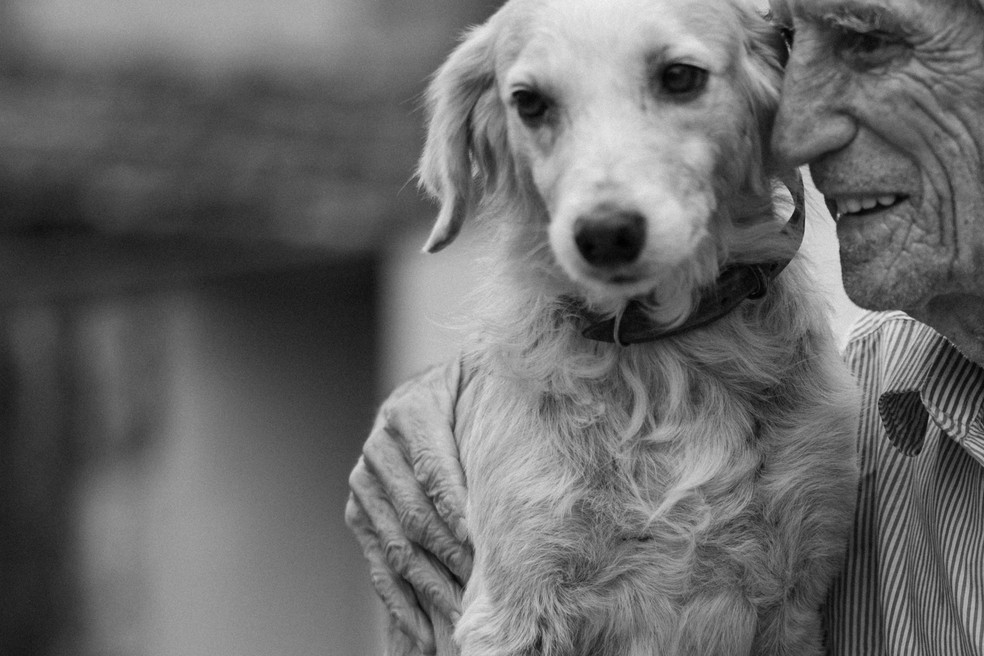 Ensaio entre "Seu Zé" e o cãozinho Bob Pará de Minas  — Foto: Ana Marques/Divulgação
