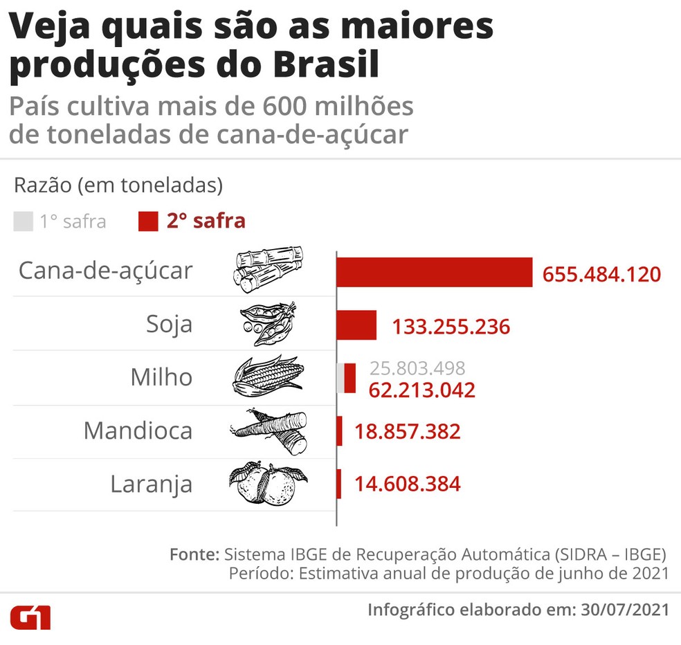 Veja quais são as maiores produções do Brasil. — Foto: Daniel Ivanaskas / Arte G1