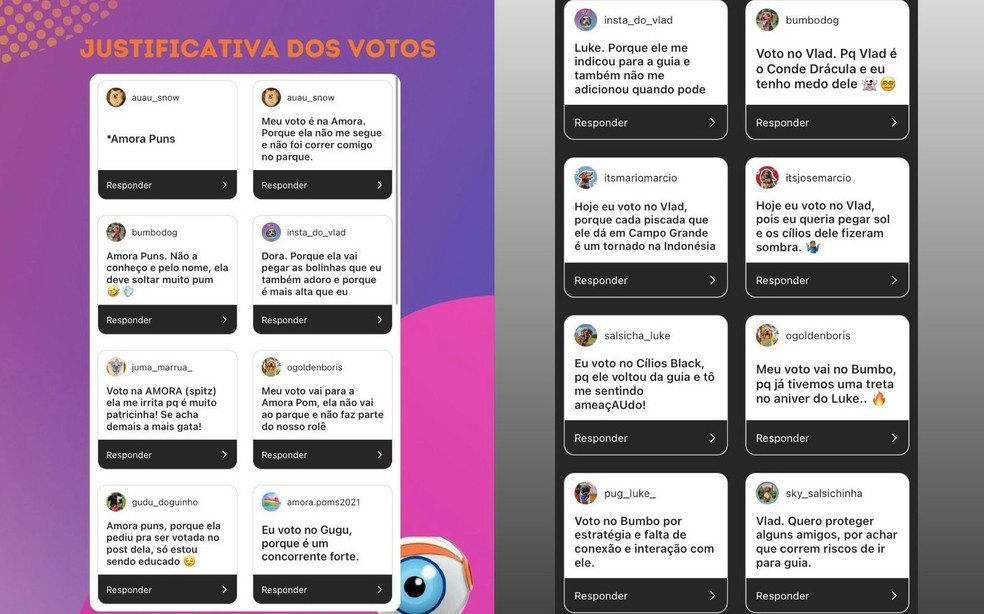 Justificativa de uma das guias. Tutores incorporam personalidade de cães e falam em primeira pessoa. — Foto: Reprodução/RedesSociais