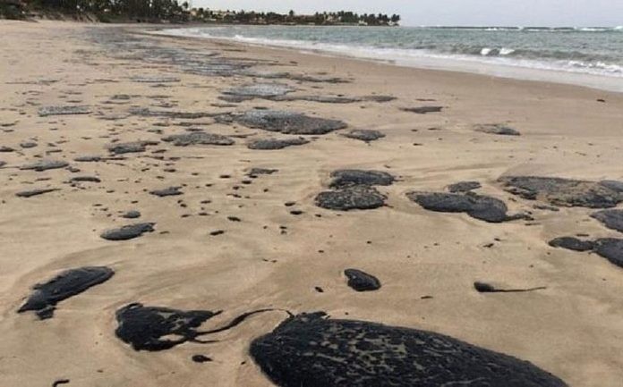 O óleo nas praias do Nordeste (Foto: Reprodução/Projeto Cetáceos da Costa Branca/Universidade do Estado do Rio Grande do Norte)