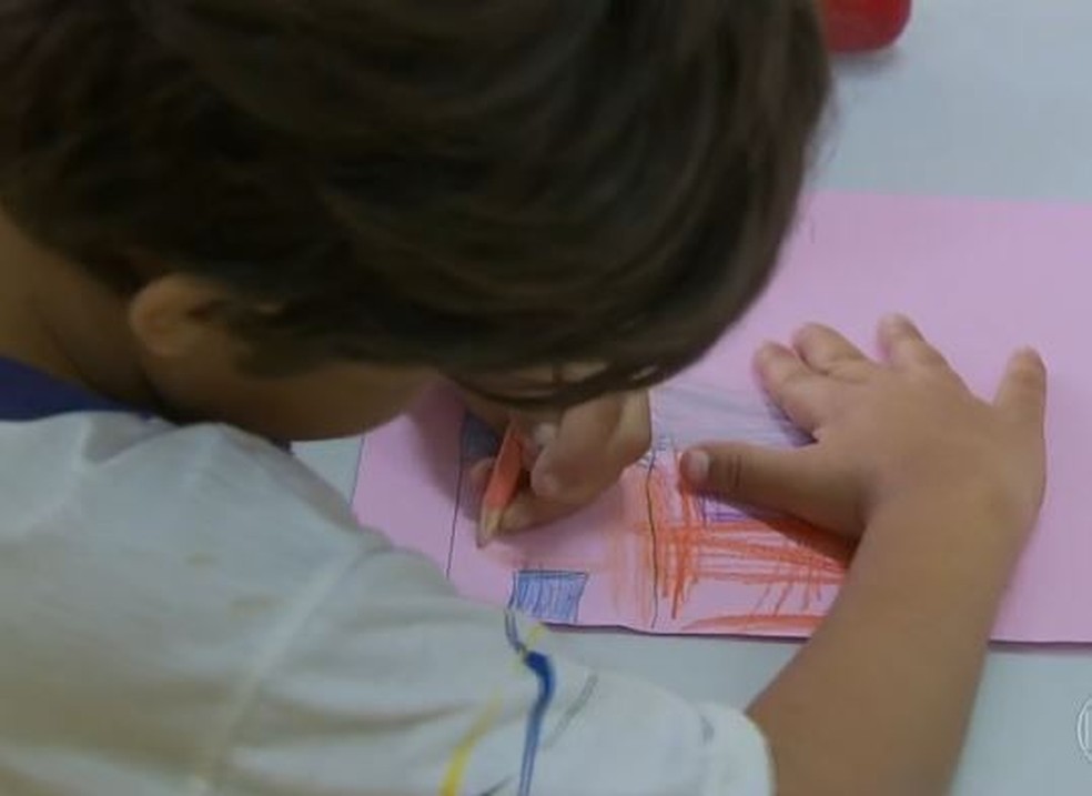 EducaÃ§Ã£o domiciliar: liberdade para algumas famÃ­lias pode prejudicar crianÃ§as vulnerÃ¡veis, dizem especialistas â€” Foto: ReproduÃ§Ã£o/JN