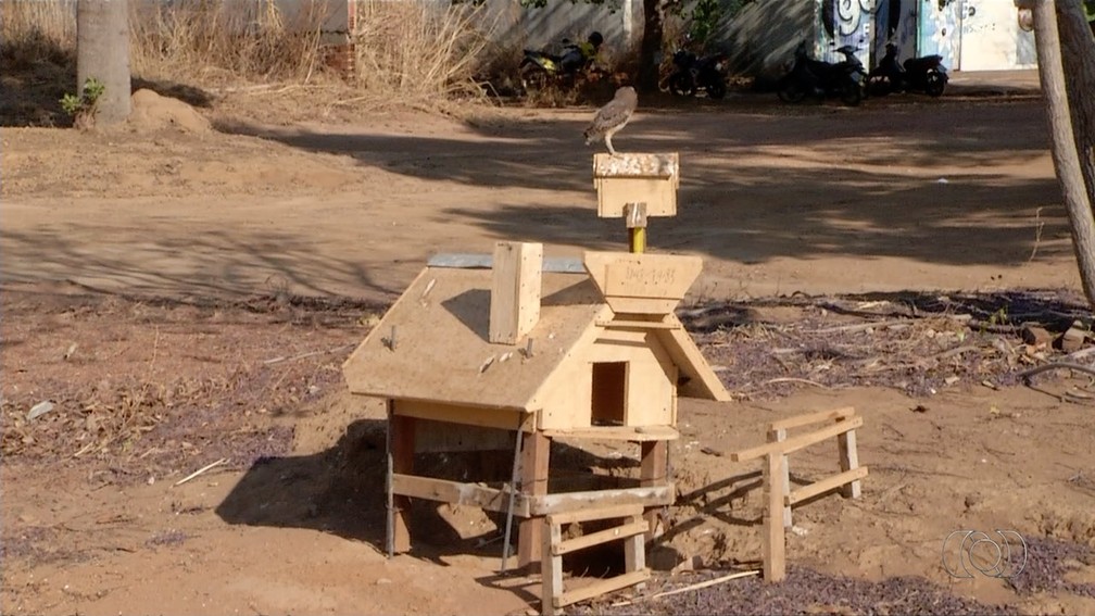 Casinha construída para corujas tem cercas, poleiro, chaminé e até caixa d' água — Foto: Reprodução/TV Anhanguera