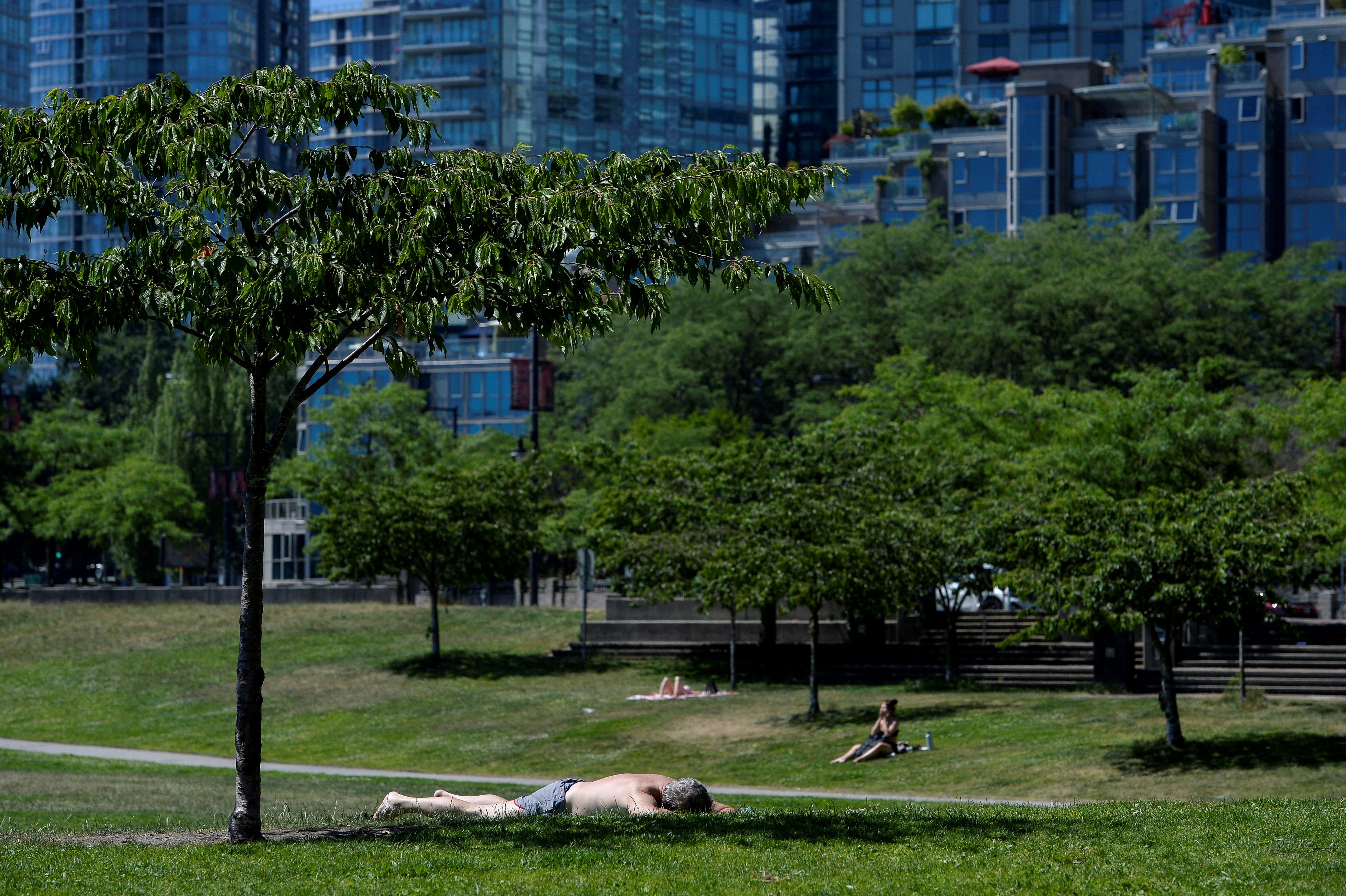 Onda de calor: autoridades alertam para aumento de mortes ligadas às altas temperaturas no Canadá thumbnail