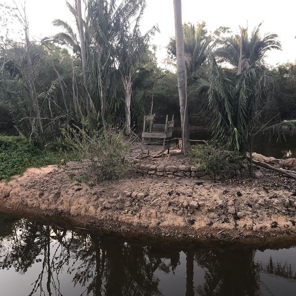 Lagoa dos primatas no Zoobotânico secou após problema na bomba de água — Foto: Arquivo Pessoal/Juliana Paz