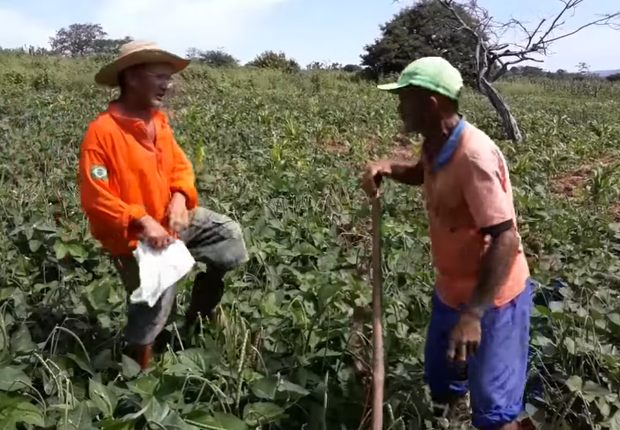 Agricultores fazem sucesso no YouTube com "causos" e humor sertanejo (Foto: Reprodução/YouTube)
