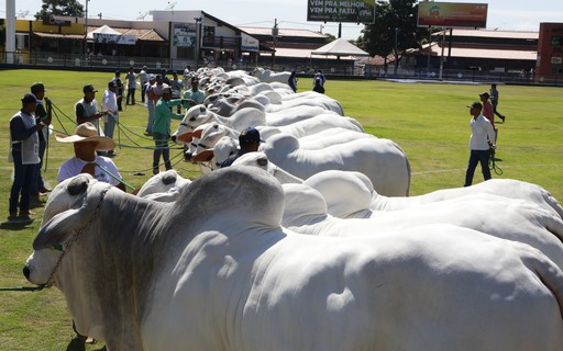 ABCZ confirma cancelamento definitivo da ExpoZebu por causa da pandemia