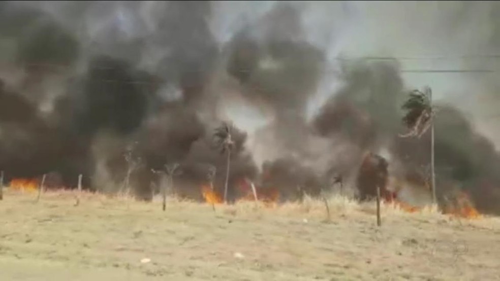Chamas atingiram grande área em pastagem de Castilho — Foto: Reprodução/TV TEM