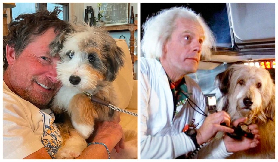 Michael J. Fox com a cachorrinha Blue, comparada ao Einstein da trilogia De Volta para o Futuro