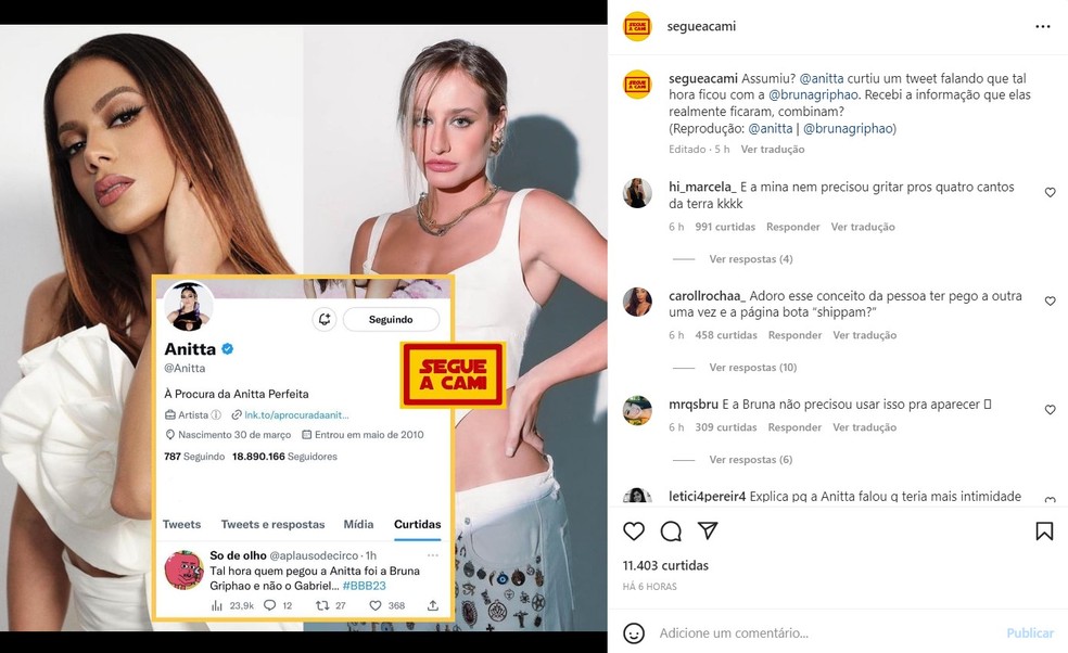 Publica&ccedil;&atilde;o do perfil 'Segue a Cami' &mdash; Foto: Reprodu&ccedil;&atilde;o / Instagram