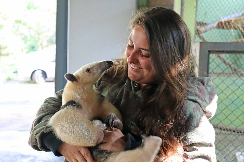 Érica Silva Pellosi atende animais resgatados que são encaminhados à Cidade da Criança — Foto: Stephanie Fonseca/g1