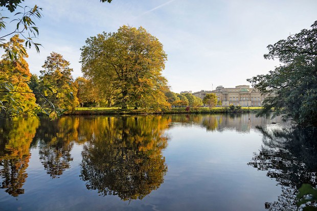 O jardim do palácio de Buckingham é o maior jardim privado de Londres e possui um estilo naturalista e despojado (Foto: The Royal Collection Trust / Divulgação)