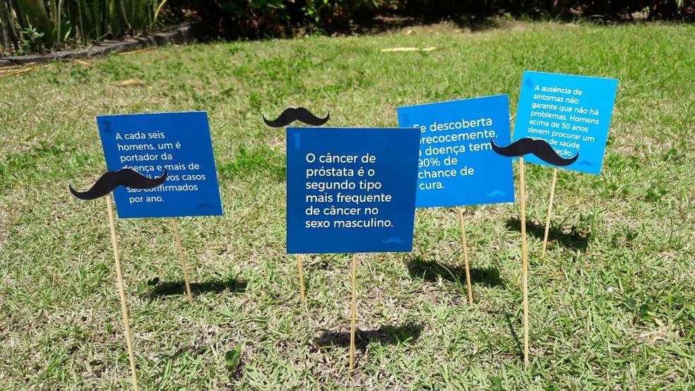 Novembro Azul: TV Gazeta de Alagoas realização ação para conscientização do  câncer de próstata | TV Gazeta AL | Rede Globo