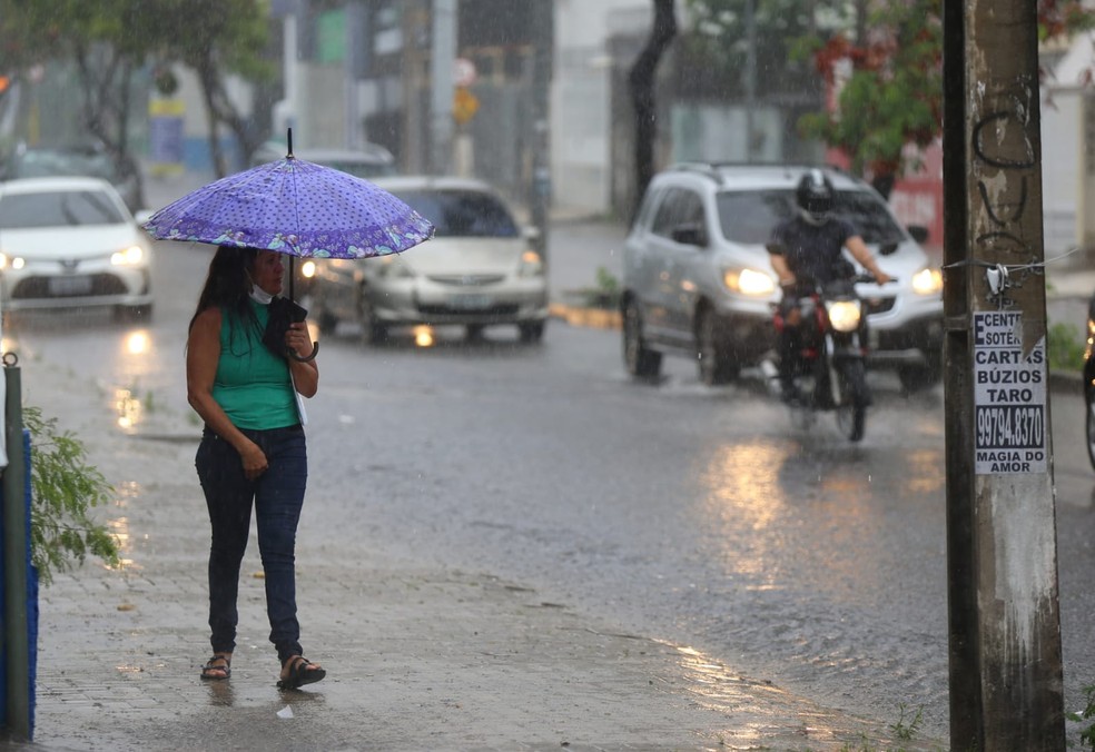 O volume de chuvas em janeiro deste ano ficou acima da média histórica. Já em fevereiro dentro do esperado.  — Foto: Fabiane de Paula/SVM