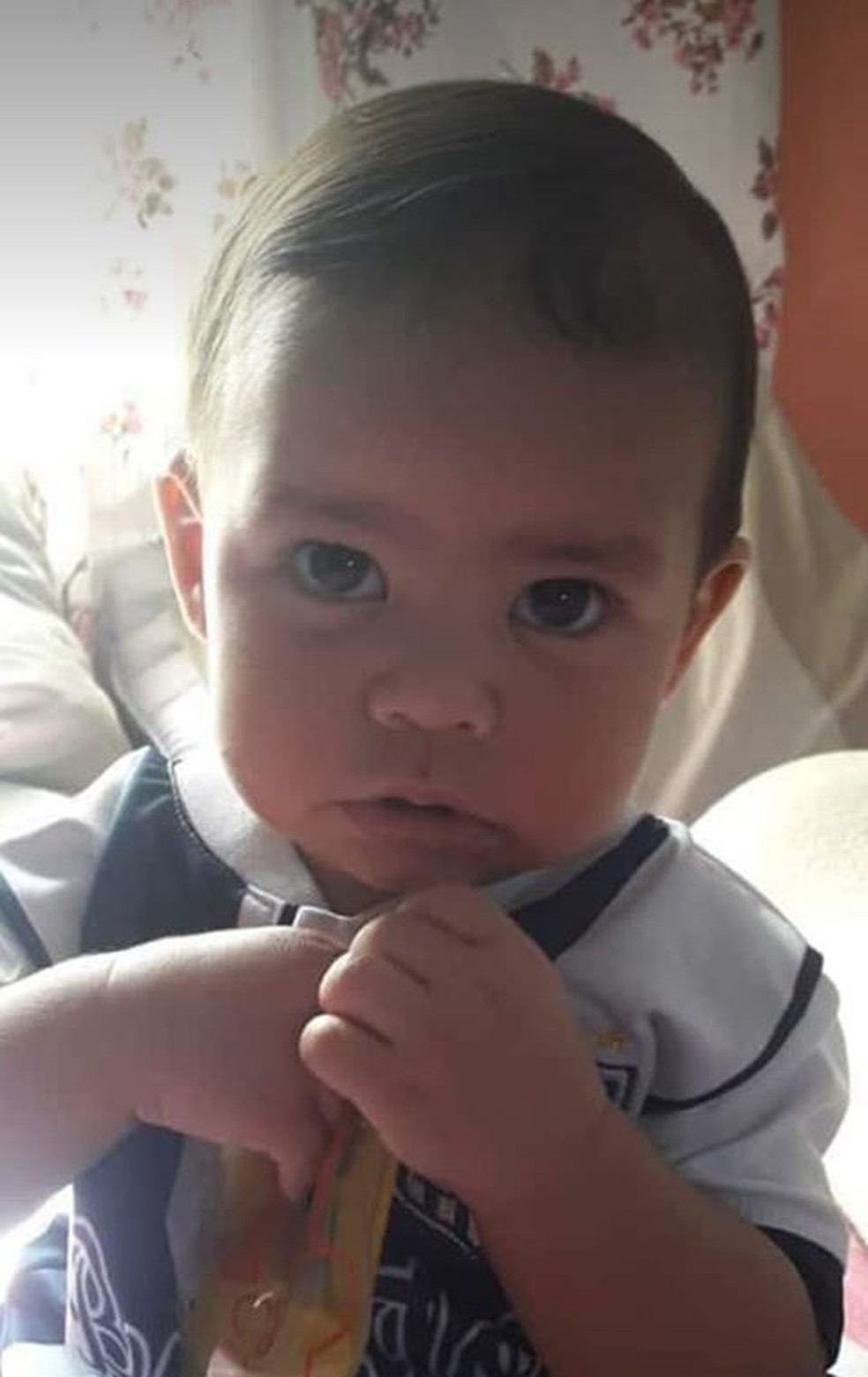 Anthony Daniel de Andrade Moraes, de um ano e três meses, morreu após socos e mordidas; a mãe e o padrasto foram presos em Praia Grande (SP) — Foto: Arquivo Pessoal