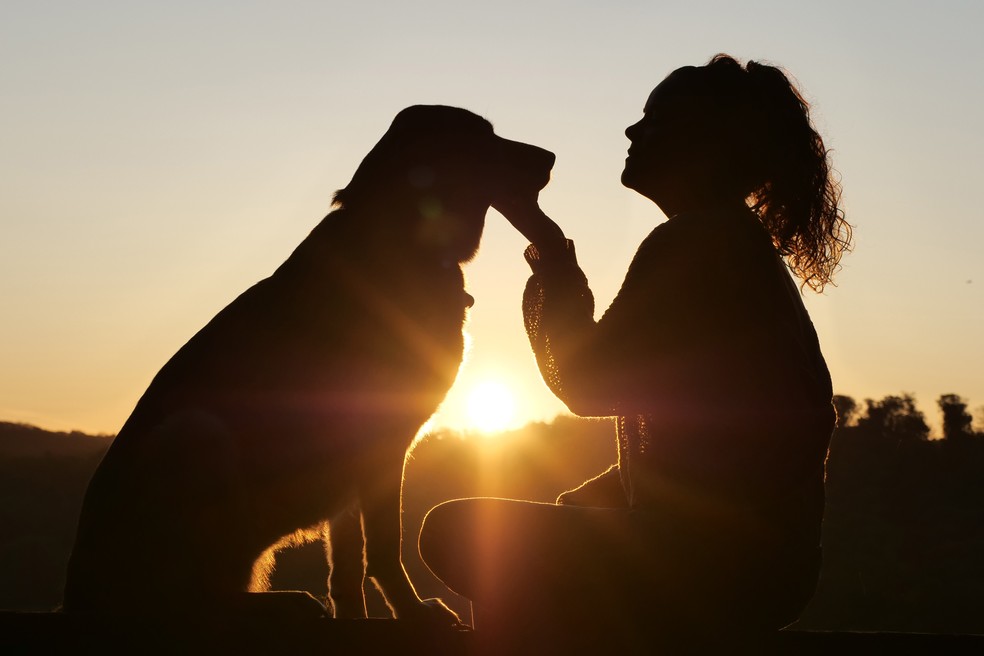 Carinho entre cão e dona — Foto: Pixabay